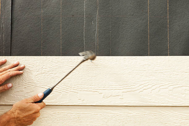Affordable Siding Repair and Maintenance Services in Esko, MN